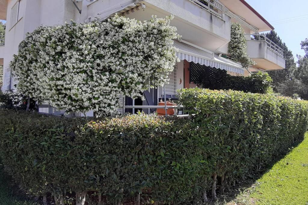 Kleo House Kalives Polygyros Halkidiki Villa Kalyves Polygyrou Kültér fotó