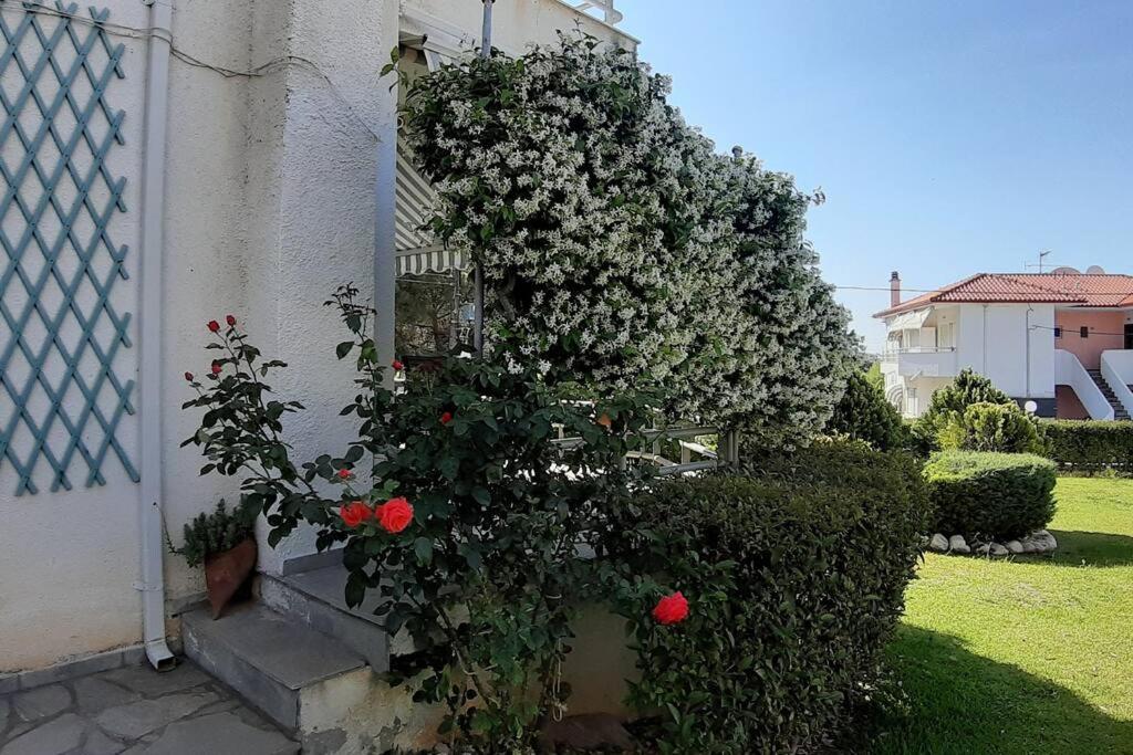 Kleo House Kalives Polygyros Halkidiki Villa Kalyves Polygyrou Kültér fotó